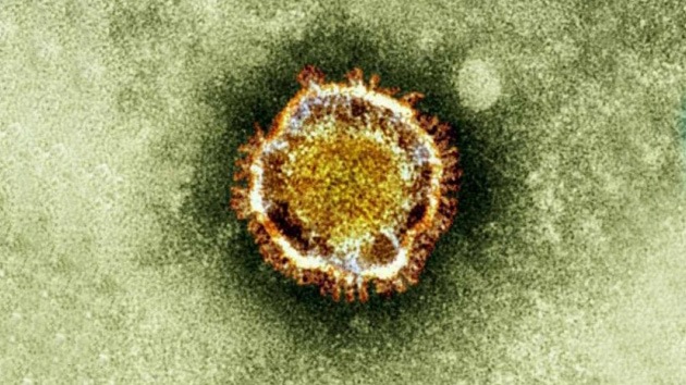 Alarma en EE.UU. por un extraño virus altamente letal para los humanos