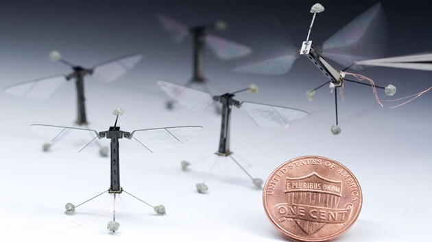 Video: El robot volante más pequeño del mundo emprende su primer vuelo