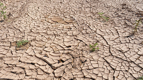 'Futuro sombrío': La crisis de agua causa hambre, guerras y terrorismo en el mundo