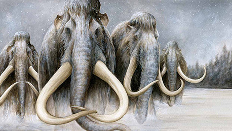 Científicos: Revivir a un mamut es 