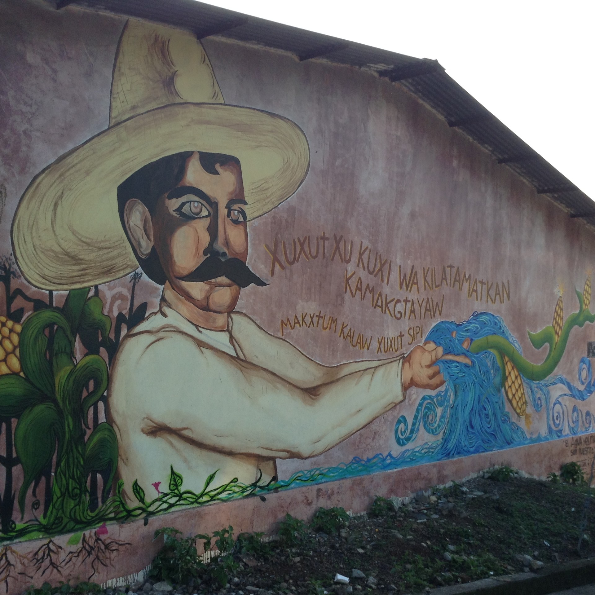 Mural contra los proyectos hidroeléctricos en el territorio indígena totonaco de Puebla