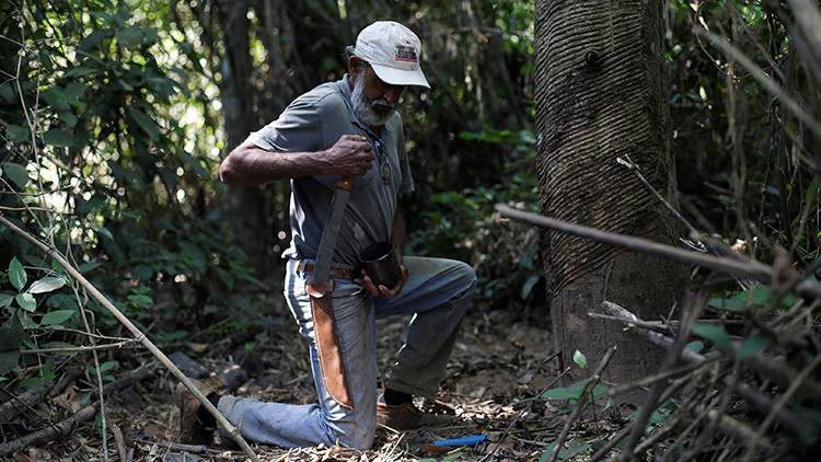 Raimundo Mendes de Barros, cortador de caucho hace 57 años trabajando en la reserva Chico Mendes (Acre, Brasil)