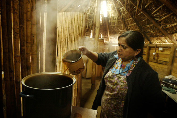 Mujer mapuche prepara hierbas medicinales en el Ruca, lugar donde el Machi atiende a los pacientes