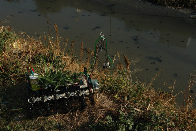 Una planta nómada explora en un río contaminado.