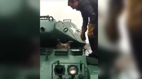 Rescatan a un mapache atrapado en un tanque (VIDEO)