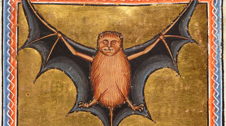 Una ilustración de un murciélago del 'Bestiario de Aberdeen'